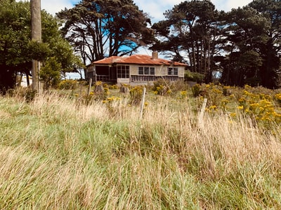 棕色和白色的房子被绿草和树木环绕